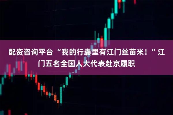 配资咨询平台 “我的行囊里有江门丝苗米!”江门五名全国人大代表赴京履职