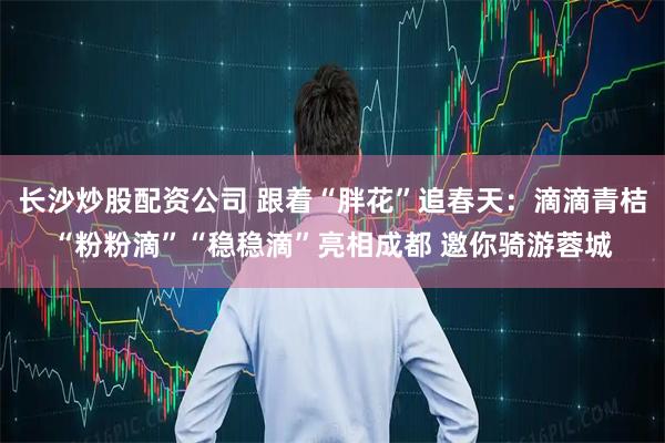 长沙炒股配资公司 跟着“胖花”追春天：滴滴青桔“粉粉滴”“稳稳滴”亮相成都 邀你骑游蓉城