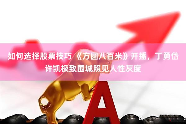 如何选择股票技巧 《方圆八百米》开播，丁勇岱许凯极致围城照见人性灰度